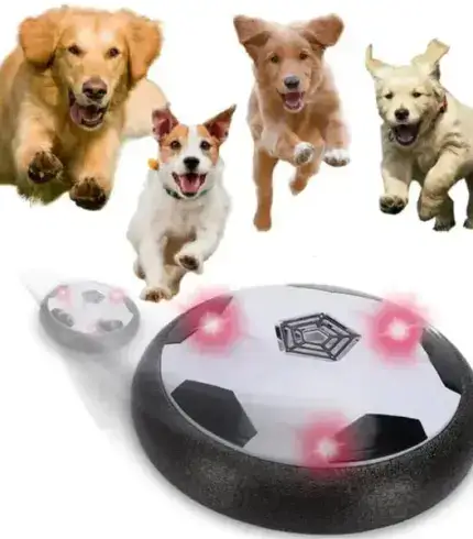 Active Gliding Disc
