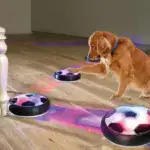 Active Gliding Disc