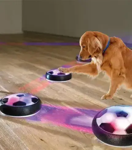 Active Gliding Disc