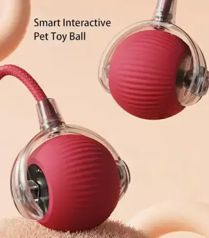 Smart Interactive Pet Toy Ball