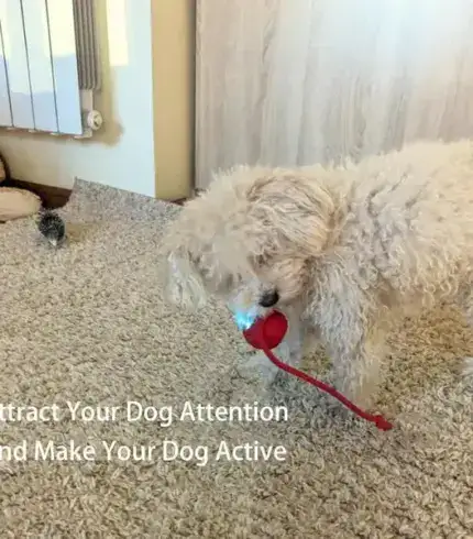 Smart Interactive Pet Toy Ball