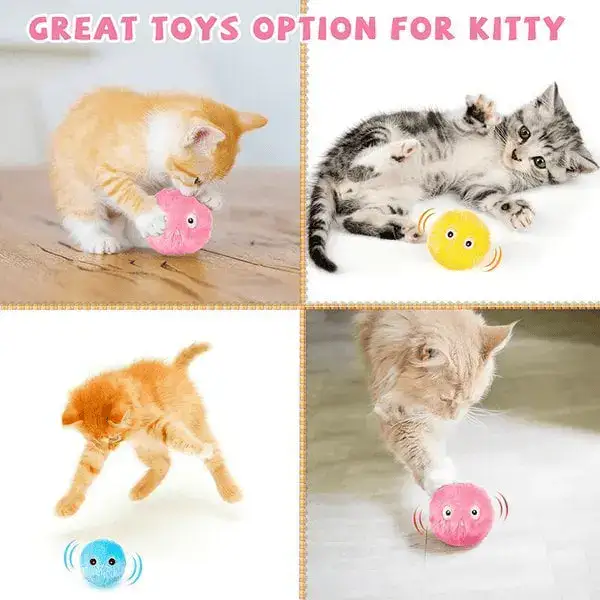 Cat Toy Image