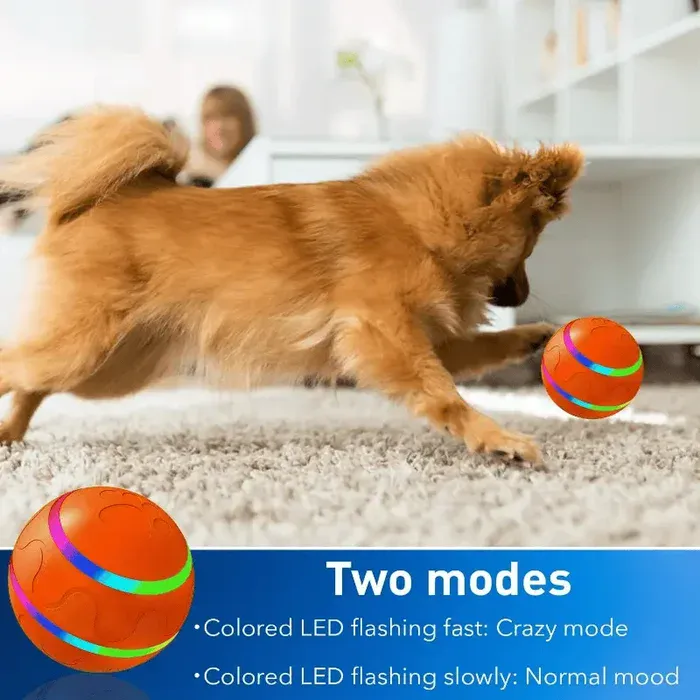 Gift for Pet Lovers